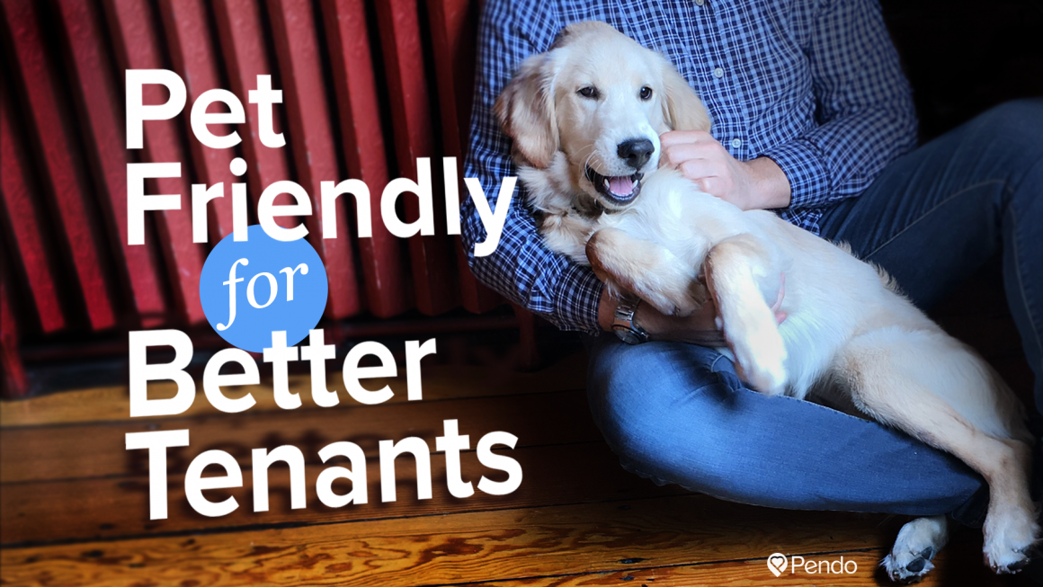 Pet Friendly Rentals Means Better Tenants