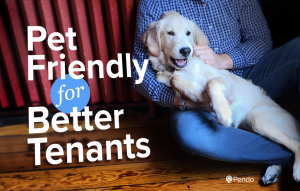 Pet Friendly Rentals Means Better Tenants